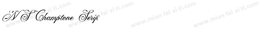 NS Champtone Serif字体转换